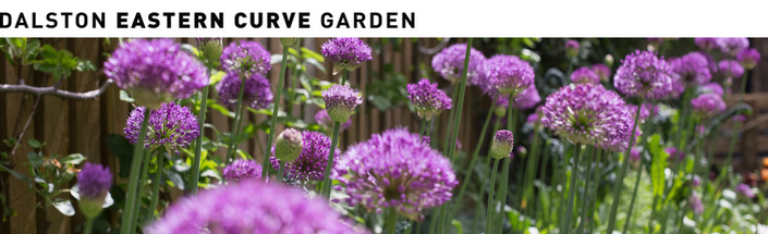 dalston-eastern-curve-garden